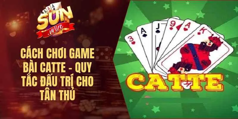 Cách Chơi Game Bài Catte – Quy Tắc Đấu Trí Cho Tân Thủ